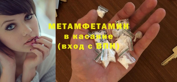 шишки Алексин