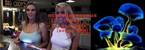 шишки Алексин