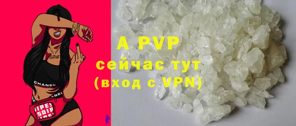 шишки Алексин