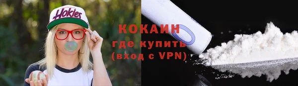 шишки Алексин