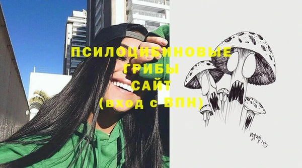 шишки Алексин