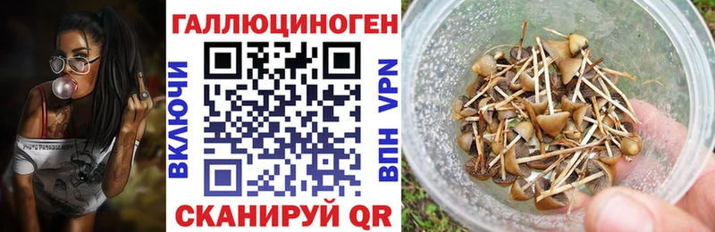 что такое   hydra ONION  Галлюциногенные грибы Magic Shrooms  Себеж 